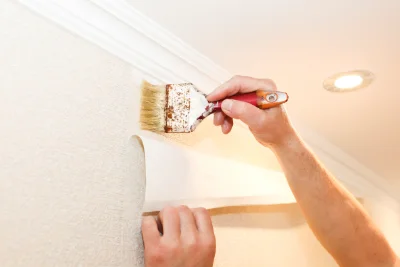Pose de papier peint à Évian-les-Bains — revêtements muraux et toiles de verre